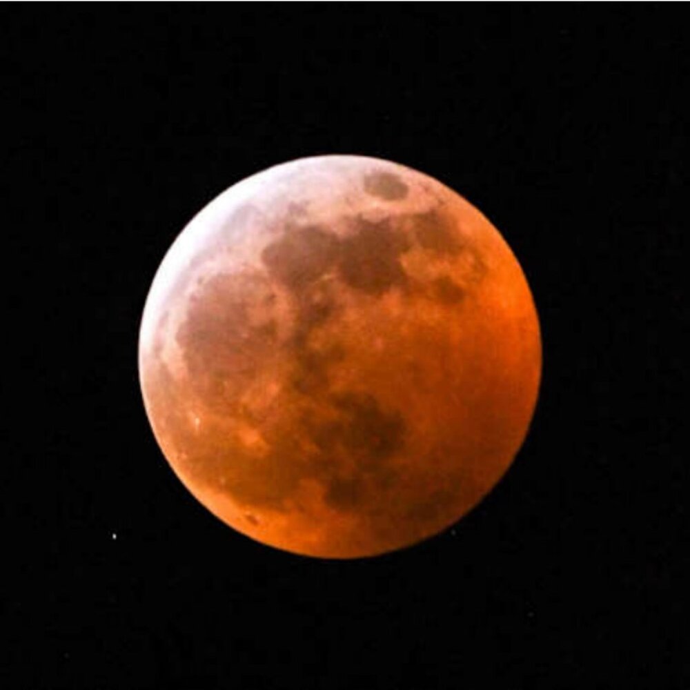 Meet your Posher, Ann